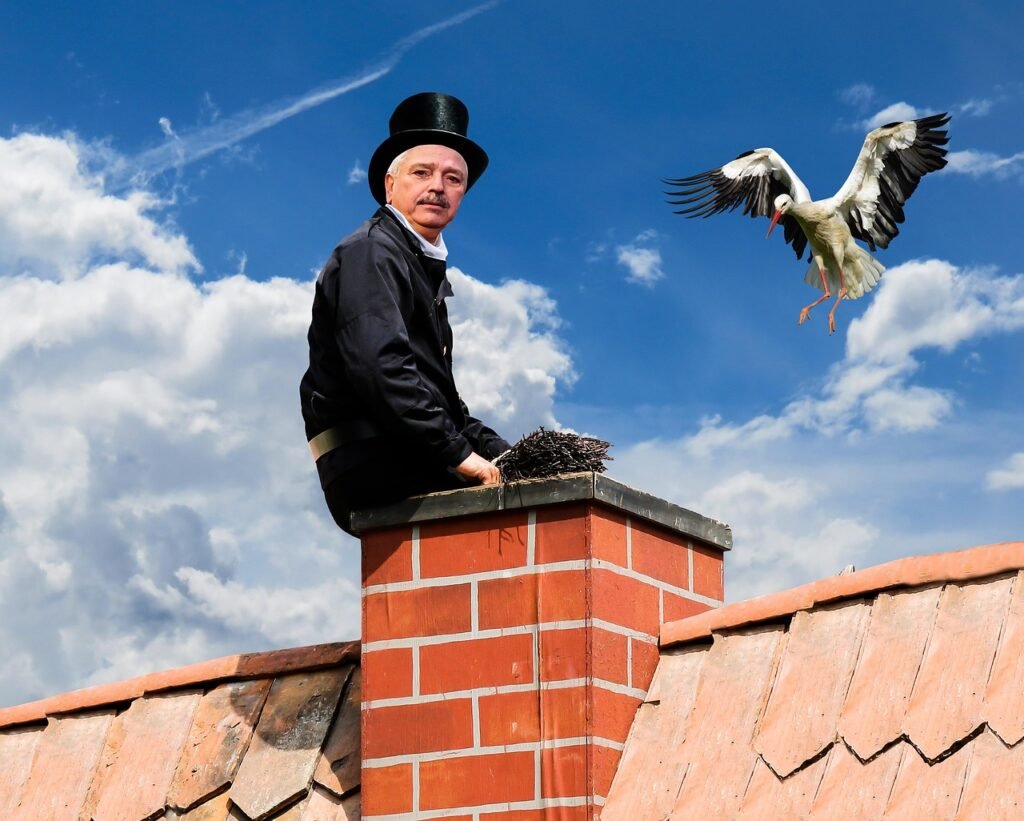 Why Annual Chimney Inspections Save Peoria Homeowners Money 2 emotions, happiness, symbol, chimney, chimney sweeper, cylinder, stork, lucky charm, roof, chimney, chimney, chimney, chimney, chimney, chimney sweeper